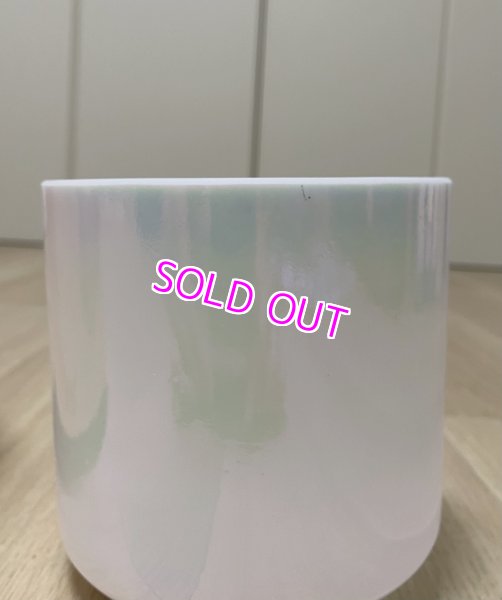 画像1: (2025サマーセール3%OFF) 6" A#0 Mother Of Platinum (1)