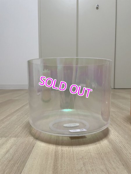 画像1: (2025サマーセール3%OFF) 9" C#+10 Platinum (1)